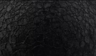 Echsenhaut Echsenhaut